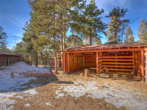 3145 Cedar Mountain Rd, Divide, CO 80814 photo 5