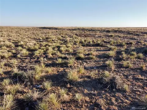 2 County Road 166, Agate, CO 80105 photo 18