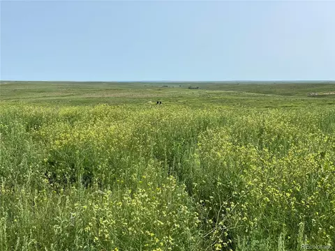 2 County Road 166, Agate, CO 80105 photo 6