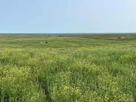 2 County Road 166, Agate, CO 80105 photo 2