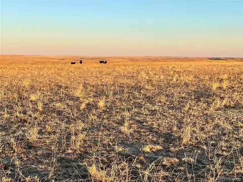 2 County Road 166, Agate, CO 80105 photo 5