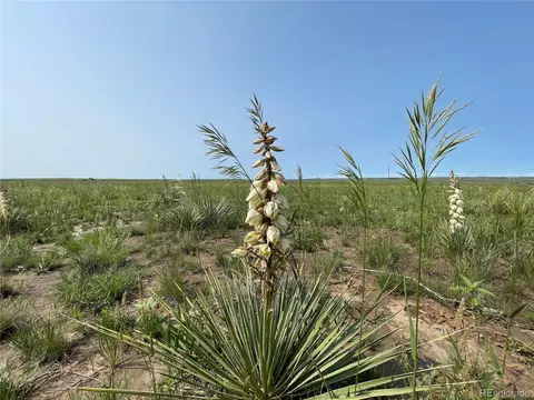 2 County Road 166, Agate, CO 80105 photo 7