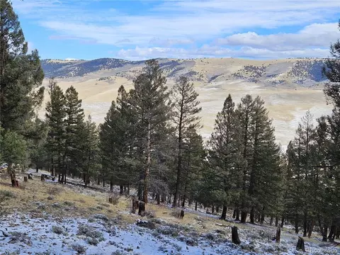 4260 Middle Fork Vis, Fairplay, CO 80440