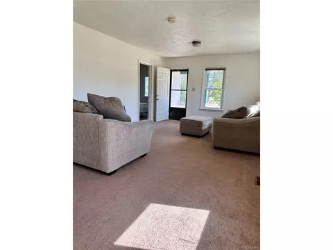 Undisclosed, Simla, CO 80835 photo 14