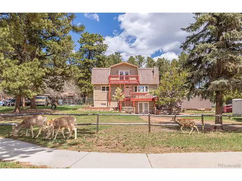 218 Chester Ave, Woodland Park, CO 80863