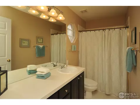 673 Trappers Pl, Windsor, CO 80550 photo 19