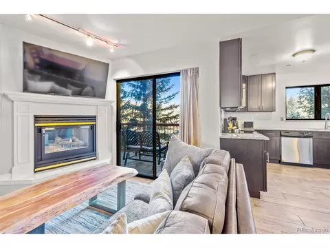 100 S Park Ave #224, Breckenridge, CO 80424