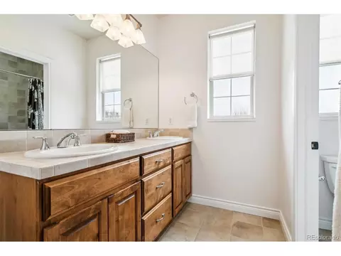 8022 E 29th Pl, Denver, CO 80238 photo 23