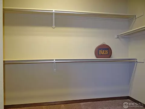 8461 Allenbrook Dr, Windsor, CO 80550 photo 23