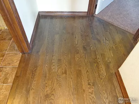 8461 Allenbrook Dr, Windsor, CO 80550 photo 13