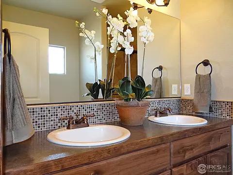 8461 Allenbrook Dr, Windsor, CO 80550 photo 21