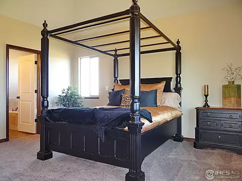8461 Allenbrook Dr, Windsor, CO 80550 photo 20