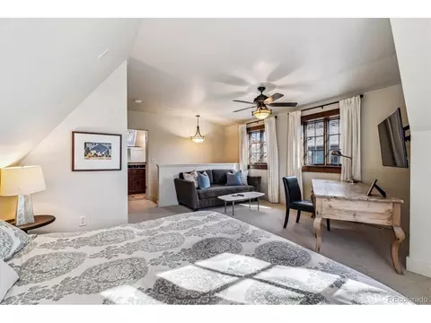 2825 E 9th Ave, Denver, CO 80206 photo 29