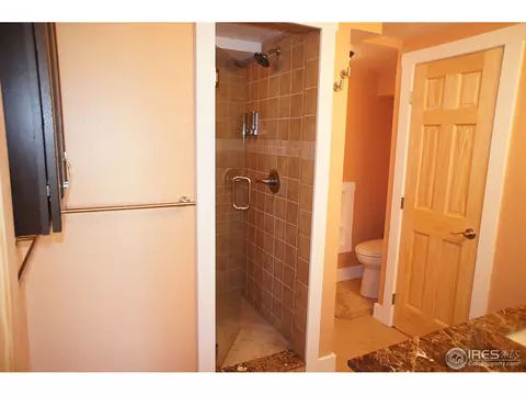 4608 Beverly Dr, Berthoud, CO 80513 photo 21