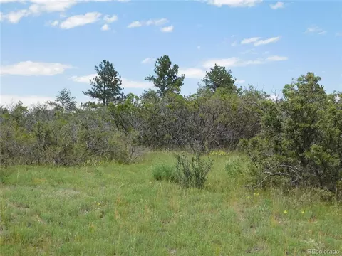 2350 Buttercup Ct, Larkspur, CO 80118