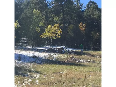 14745 Wetterhorn Peak Trl, Pine, CO 80470