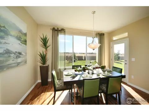4604 Freehold Dr, Windsor, CO 80550 photo 9