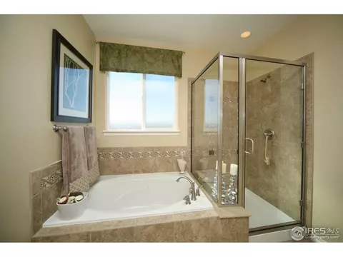 4604 Freehold Dr, Windsor, CO 80550 photo 17