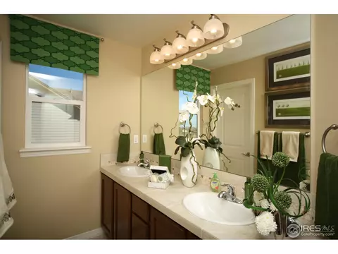 4604 Freehold Dr, Windsor, CO 80550 photo 19