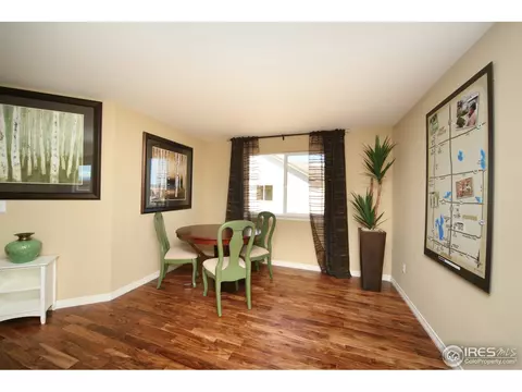 4604 Freehold Dr, Windsor, CO 80550 photo 21