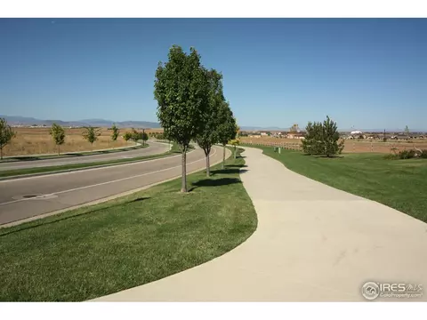 4604 Freehold Dr, Windsor, CO 80550 photo 24