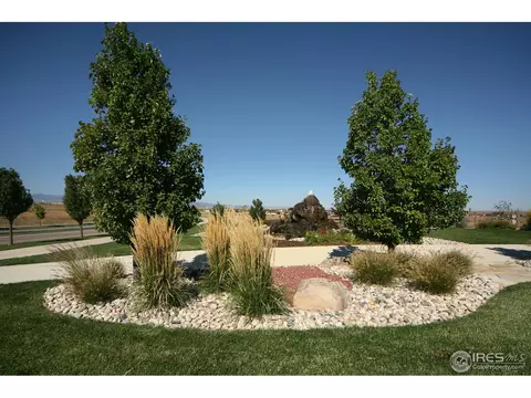 4604 Freehold Dr, Windsor, CO 80550 photo 23
