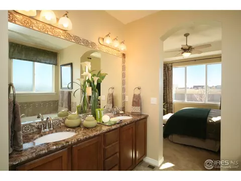4604 Freehold Dr, Windsor, CO 80550 photo 16
