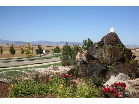 4604 Freehold Dr, Windsor, CO 80550 photo 22