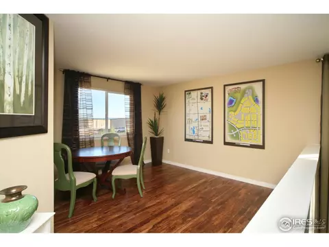 4604 Freehold Dr, Windsor, CO 80550 photo 20