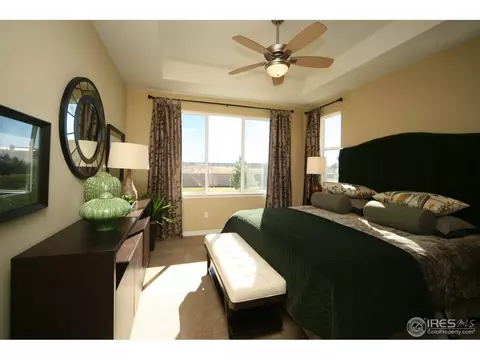 4604 Freehold Dr, Windsor, CO 80550 photo 14