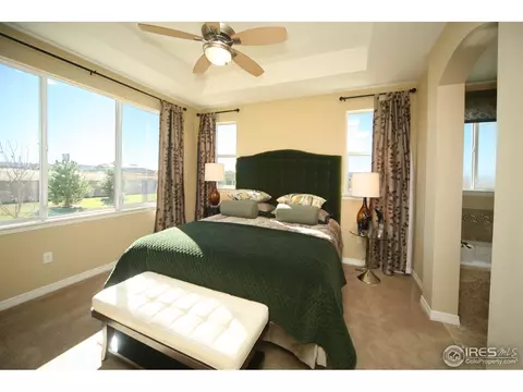 4604 Freehold Dr, Windsor, CO 80550 photo 15