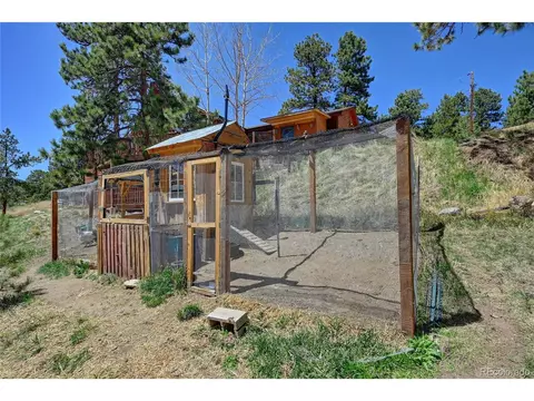 64 Pine Trl, Bailey, CO 80421 photo 28
