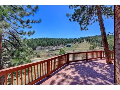 64 Pine Trl, Bailey, CO 80421 photo 35