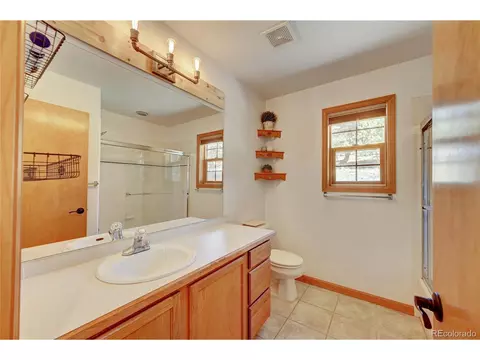 64 Pine Trl, Bailey, CO 80421 photo 14