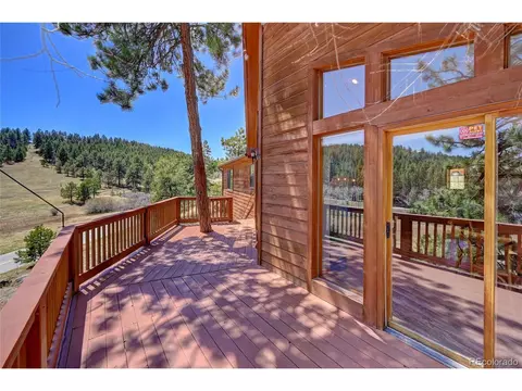 64 Pine Trl, Bailey, CO 80421 photo 36