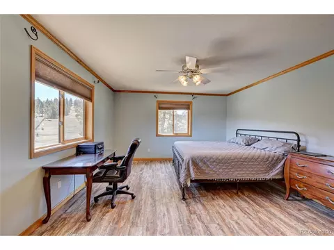 64 Pine Trl, Bailey, CO 80421 photo 17