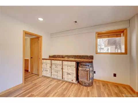 64 Pine Trl, Bailey, CO 80421 photo 22