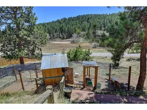 64 Pine Trl, Bailey, CO 80421 photo 34
