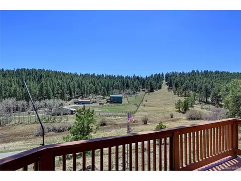 64 Pine Trl, Bailey, CO 80421 photo 37