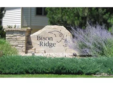 1431 Bison Run Dr, Windsor, CO 80550 photo 1