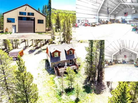 93 Placer Dr, Alma, CO 80420