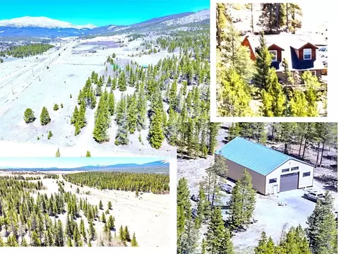 93 Placer Dr, Alma, CO 80420