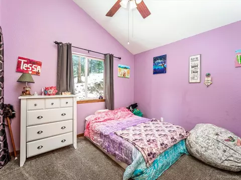 487 Gross Rd, Bailey, CO 80421 photo 12