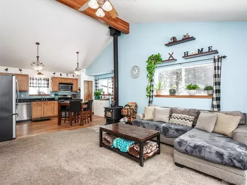 487 Gross Rd, Bailey, CO 80421 photo 4