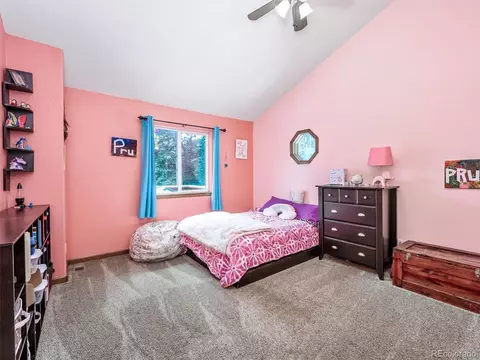 487 Gross Rd, Bailey, CO 80421 photo 11
