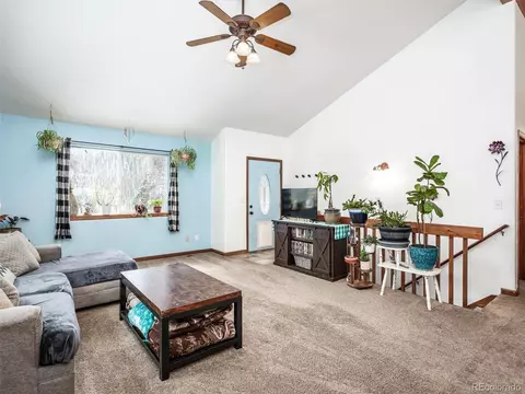 487 Gross Rd, Bailey, CO 80421 photo 6