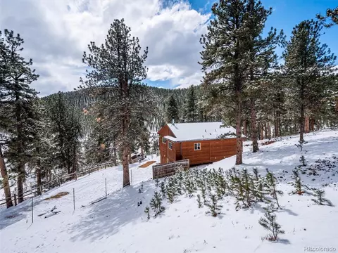 487 Gross Rd, Bailey, CO 80421 photo 25