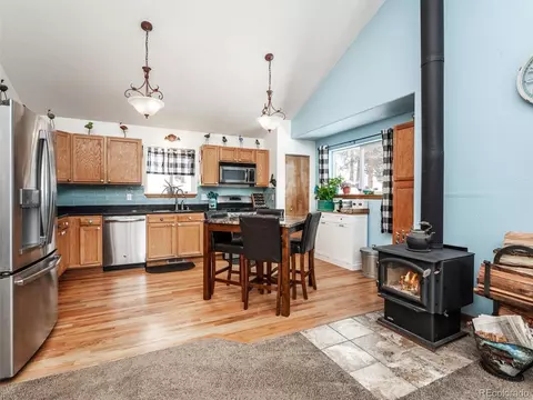 487 Gross Rd, Bailey, CO 80421 photo 8