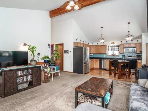 487 Gross Rd, Bailey, CO 80421 photo 5
