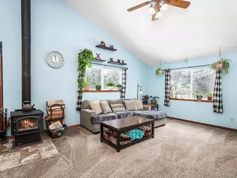 487 Gross Rd, Bailey, CO 80421 photo 7
